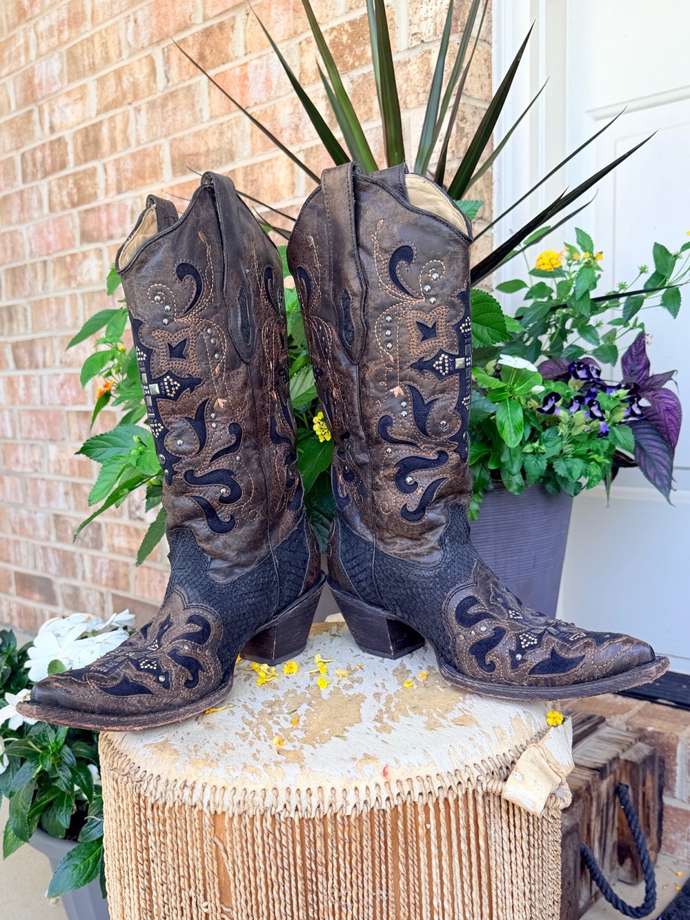 Corral Swarovski Crystal Embellished Cross Python Leather Cowboy Boots Black 8.5 - Picture 12 of 16